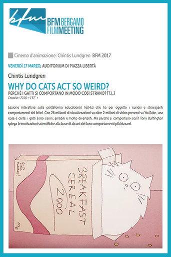 Why Do Cats Act So Weird? (2016) poster