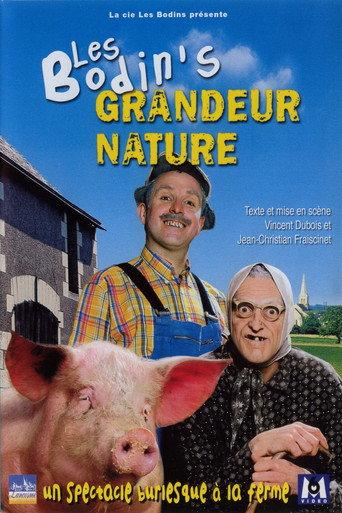 Les Bodin's - Grandeur Nature (2006) poster