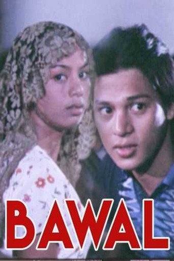 Bawal (1998) poster