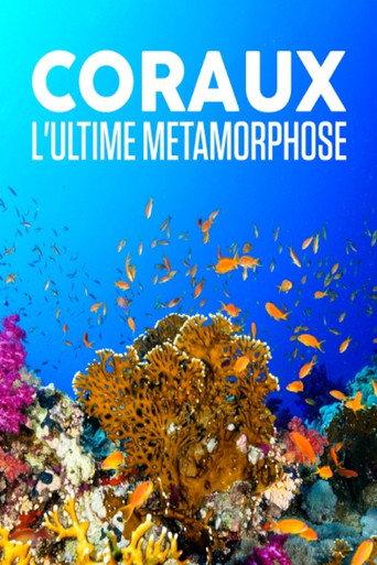 Corals, the ultimate metamorphosis (2019) poster