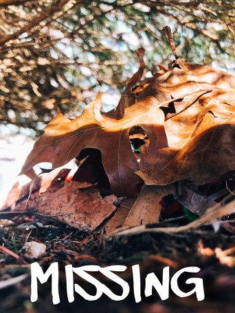 Missing (2024) poster