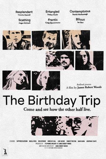 The Birthday Trip (2026) poster