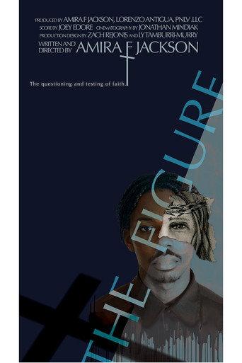 The Figure () poster