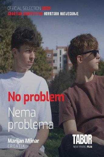No Problem (2025) poster