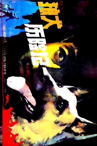 狼犬历险记 (1985) poster