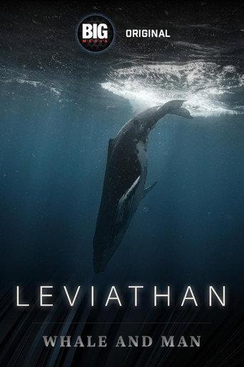Leviathan: Whale and Man (2025) poster