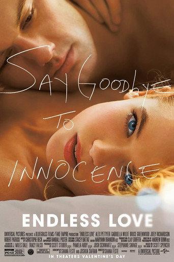 Endless Love (2014) poster