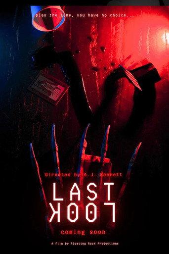Last Look () poster