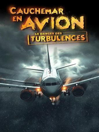Cauchemar en Avion - Le Danger des Turbulences (2024) poster