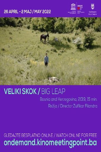 Big Leap (2019) poster