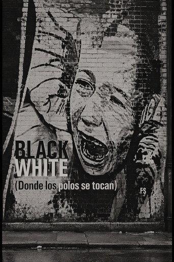 Blackwhite. Donde los polos se tocan (2004) poster