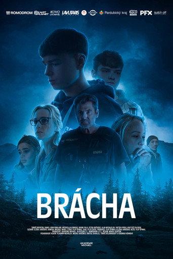 Brácha () poster