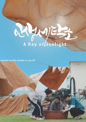 A Ray of Sunlight (2024) poster