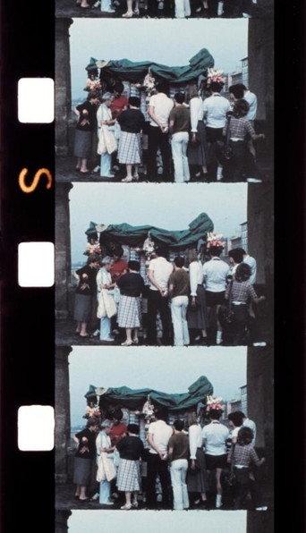 Chutes de Souvenirs/Florence (1981) poster