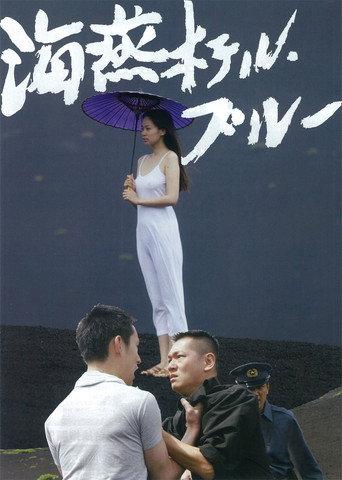 Petrel Hotel Blue (2012) poster