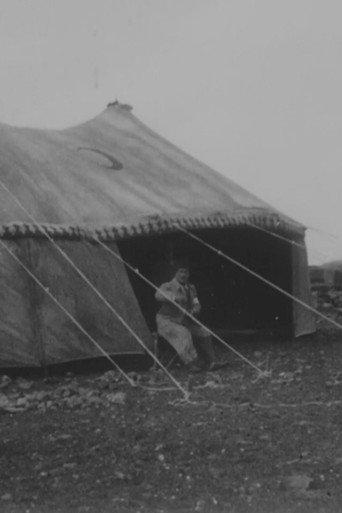 Gaumont Graphic Newsreel: The Turkish Red Crescent Tent (1918) poster