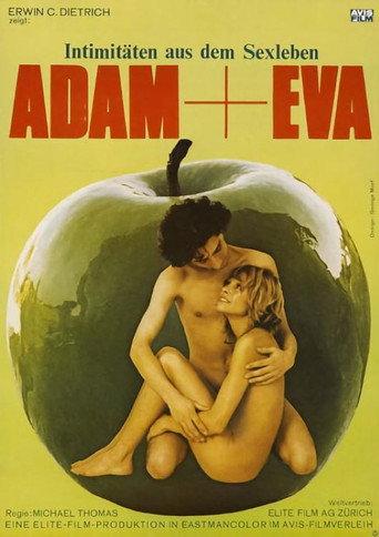 Girls on the Make (1976) poster