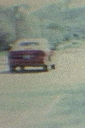 T.Z. USA 1991 - Going Fast Slow (V.4) (1991) poster