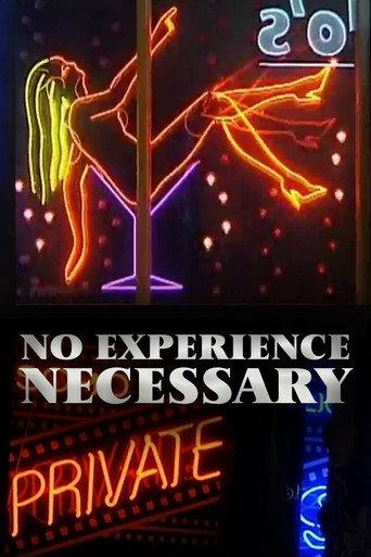 No Experience Necessary (2000) poster