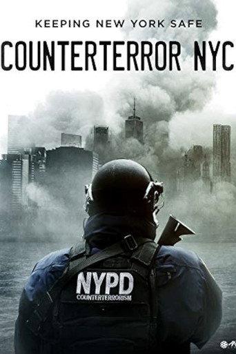 Counterterror NYC (2011) poster