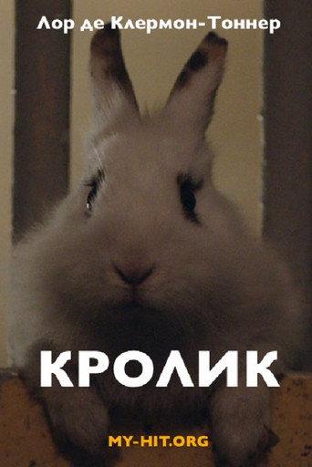 Rabbit (2014) poster