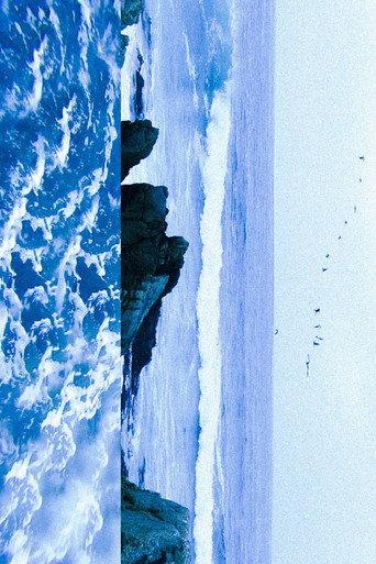 Sea (2025) poster