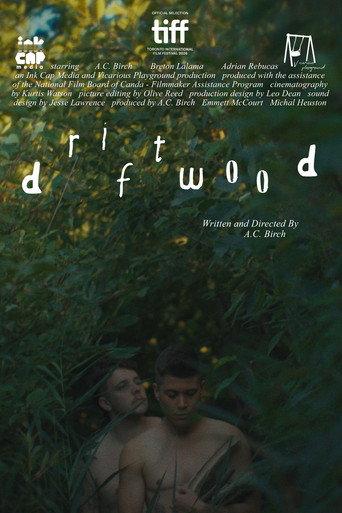 Driftwood (2026) poster