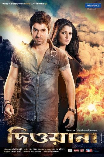 Deewana (2013) poster