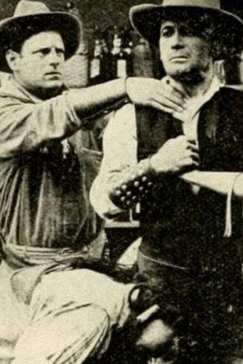 Broncho Billy and the Indian Maid (1912) poster