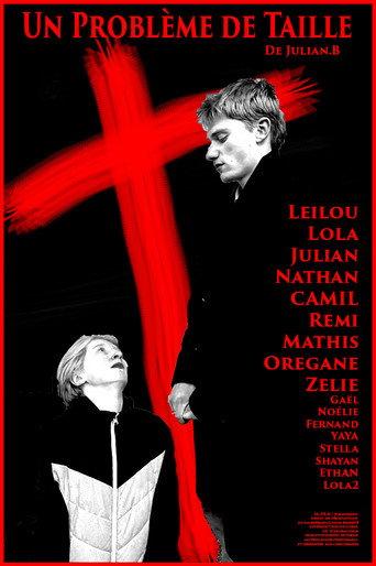 A little Problem (2026) poster
