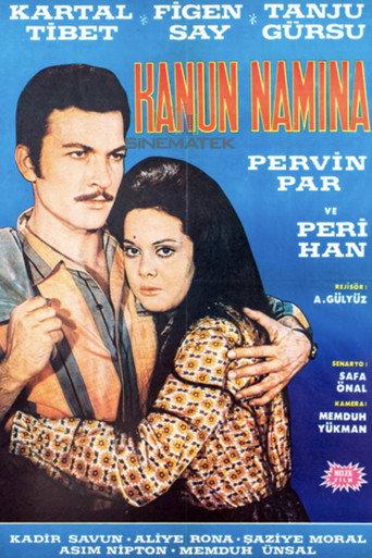 In the name of the Law (1968) poster