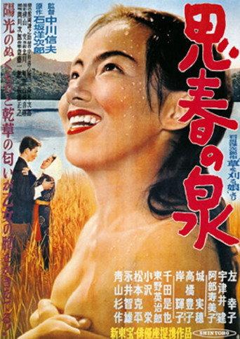 Shishun no izumi (1953) poster