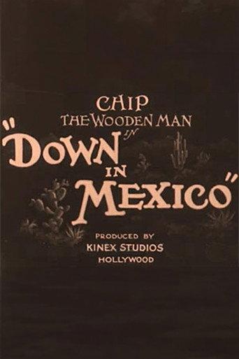 Down in Mexico (1929) poster