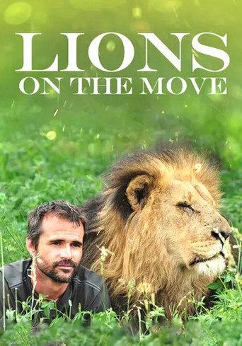 Lions on the Move (2013) poster