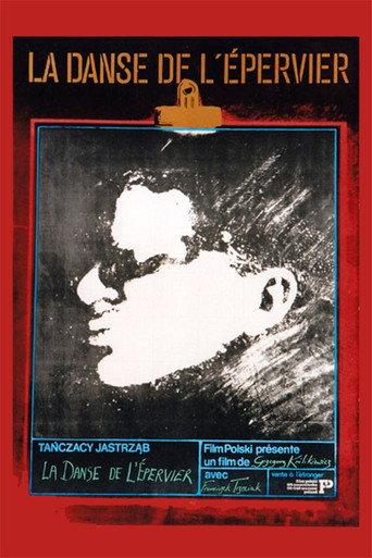 The Dance of the Hawk (1984) poster