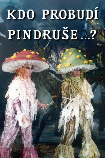 Kdo probudí Pindruše...? (1989) poster