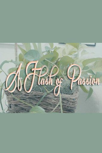 A Flash Of Passion (2025) poster