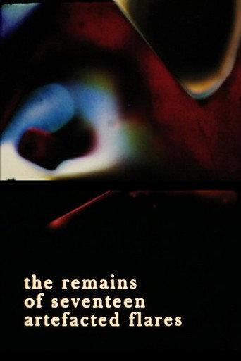 the remains of seventeen artefacted flares (2011) poster
