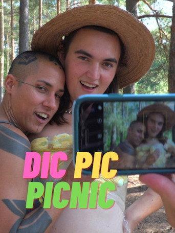 Dic Pic Picnic (2021) poster