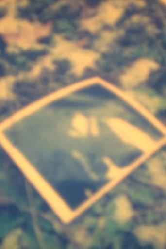 V/M. Releasing (1993) poster