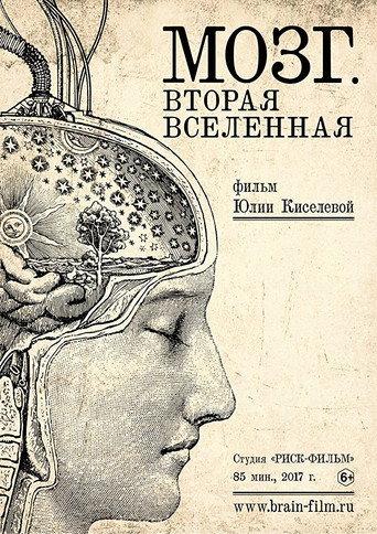Brain. Second Universe (2017) poster