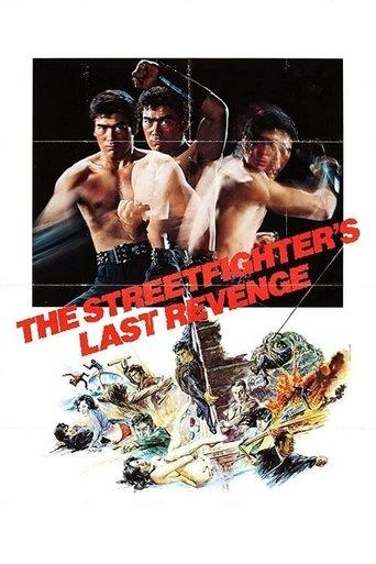 The Street Fighter's Last Revenge (1974) poster