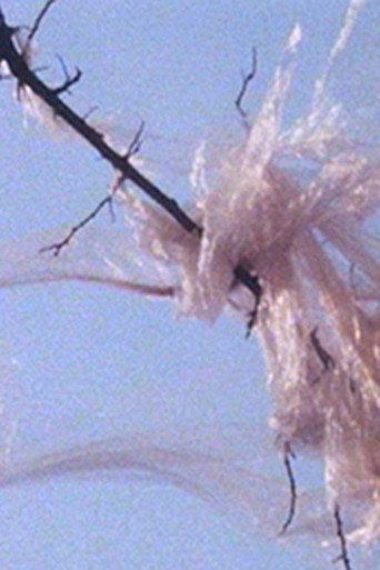 When You See a Rose (1995) poster