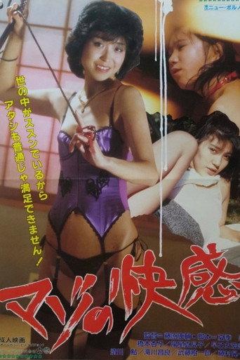 Masochistic Pleasure (1987) poster