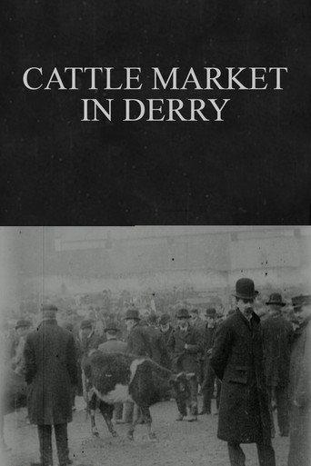 Cattle Market in Derry (1902) poster
