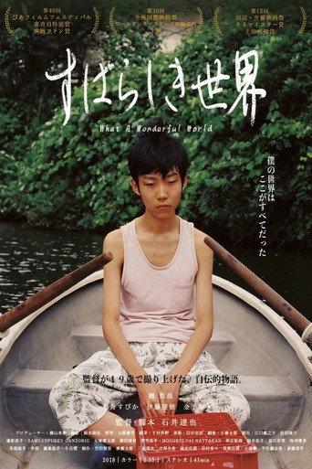 What a Wonderful World (2018) poster