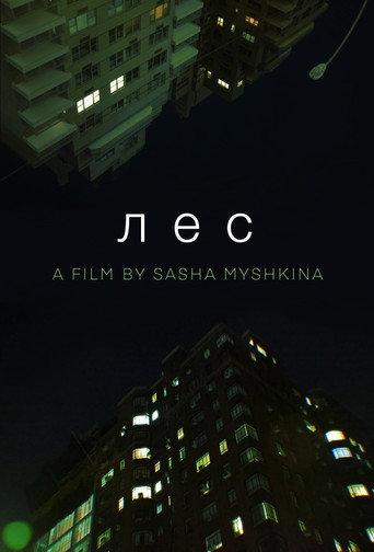 Forest (2024) poster