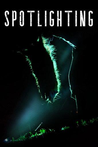 Spotlighting () poster