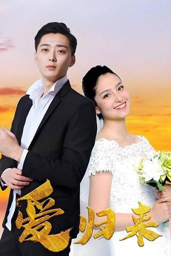爱归来 (2020) poster