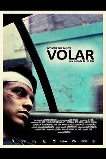 Los que no saben volar (2016) poster